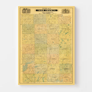 Vintage Map of Todd County, Minnesota 1890