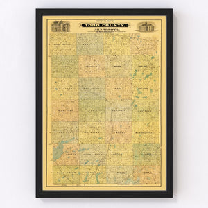 Vintage Map of Todd County, Minnesota 1890