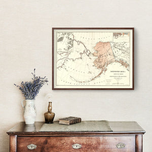Vintage Map of Alaska 1867