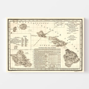 Vintage Map of Hawaii 1893