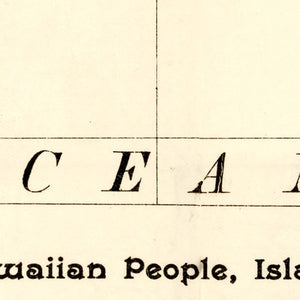 Vintage Map of Hawaii 1893