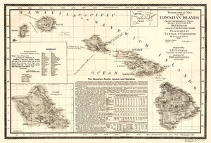 Vintage Map of Hawaii 1893