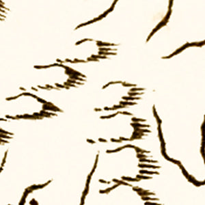 Vintage Map of Virginia 1795