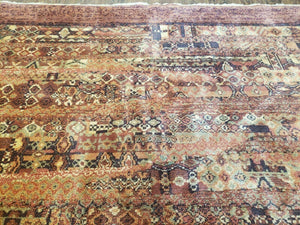Couristan Rug 8x11 Modern Contemporary Wool Belgium Power Loomed Carpet