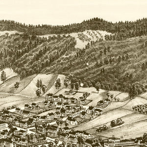 Vintage Map of Bristol, Vermont 1889