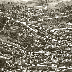 Vintage Map of Brattleboro, Vermont 1886