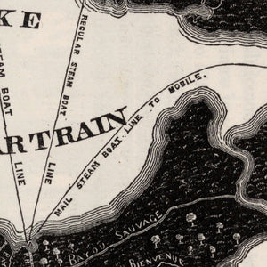 Vintage Map of New Orleans, Louisiana 1845