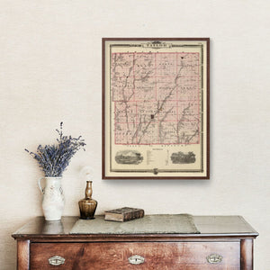 Vintage Map of Taylor County, Iowa 1875