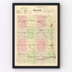Vintage Map of Saline County, Nebraska 1885
