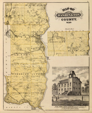 Vintage Map of Washington County, Minnesota 1874