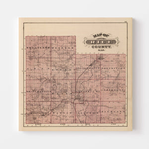 Vintage Map of Rice County, Minnesota 1874