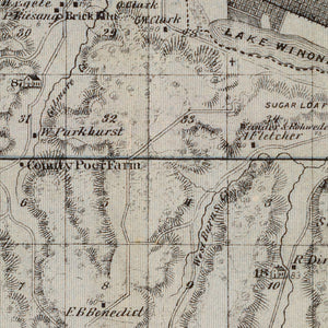 Vintage Map of Winona County, Minnesota 1874