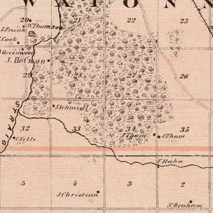 Vintage Map of Steele County, Minnesota 1874