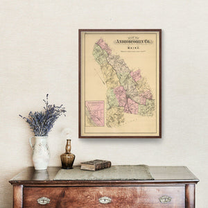 Vintage Map of Androscoggin County, Maine 1885