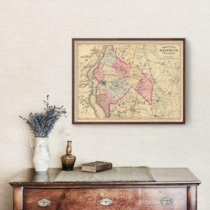 Vintage Map of Salem County, New Jersey 1872