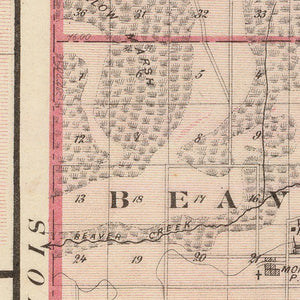 Vintage Map of Newton County, Indiana 1876