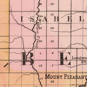 Vintage Map of Isabella County, Michigan 1873