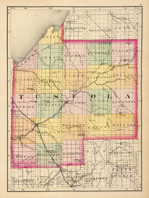 Vintage Map of Tuscola County, Michigan 1873