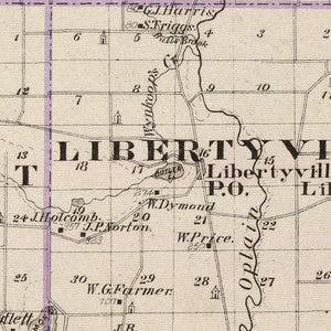 Vintage Map of Lake County, Illinois 1876