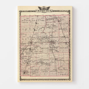 Vintage Map of Iroquois County, Illinois 1876