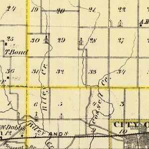 Vintage Map of Coles County, Illinois 1876
