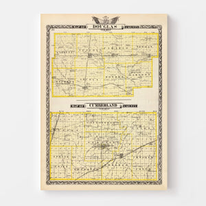 Vintage Map of Douglas County, Illinois 1876