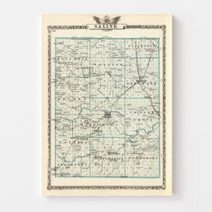 Vintage Map of Saline County, Illinois 1876