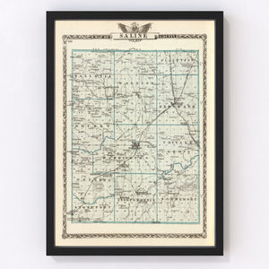 Vintage Map of Saline County, Illinois 1876