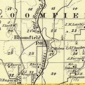 Vintage Map of Johnson County, Illinois 1876