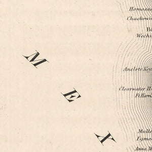 Vintage Map of Florida 1861