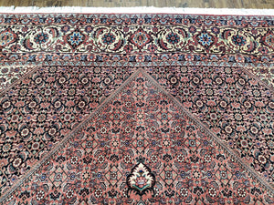 Stunning Persian Bijar Rug 8x11 - Herati Mahi Pattern