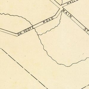 Vintage Map of Baltic, Connecticut 1893