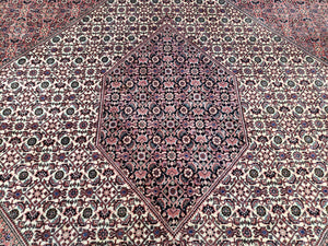Stunning Persian Bijar Rug 8x11 - Herati Mahi Pattern