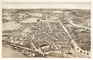 Vintage Map of Dedham, Massachusetts 1876