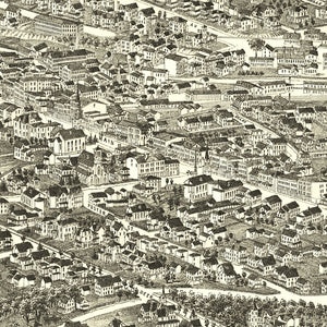 Vintage Map of Danbury, Connecticut 1884