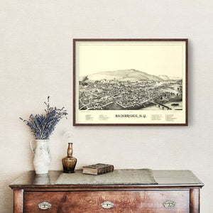 Vintage Map of Bainbridge, New York 1889