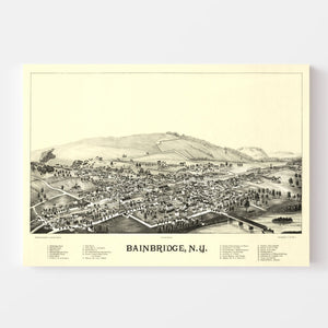 Vintage Map of Bainbridge, New York 1889