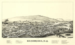 Vintage Map of Bainbridge, New York 1889