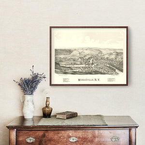 Vintage Map of Middleville, New York 1890