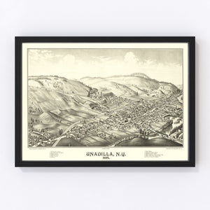 Vintage Map of Unadilla, New York 1887