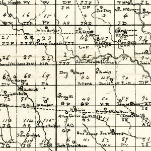 Vintage Map of Coffee County, Georgia 1891