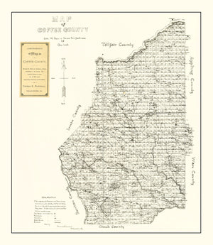 Vintage Map of Coffee County, Georgia 1891