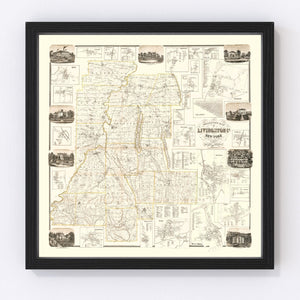 Vintage Map of Livingston County, New York 1858
