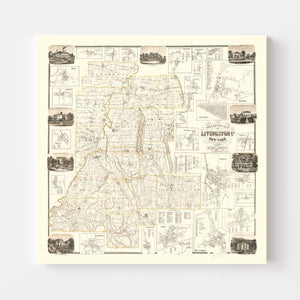 Vintage Map of Livingston County, New York 1858