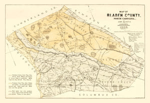 Vintage Map of Bladen County, North Carolina 1885