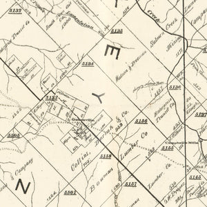 Vintage Map of Forest County, Pennsylvania 1895