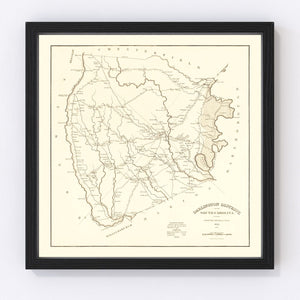 Vintage Map of Darlington County, South Carolina 1825