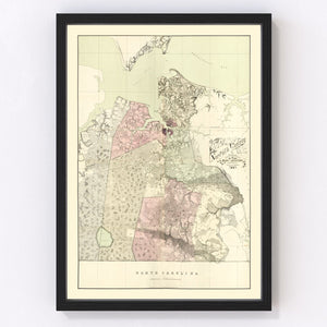 Vintage Map of Norfolk County, Virginia 1887