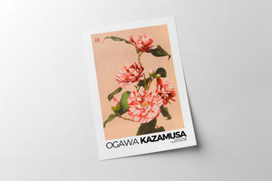 Kazamusa - Camelias