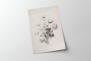 Flower Sketch